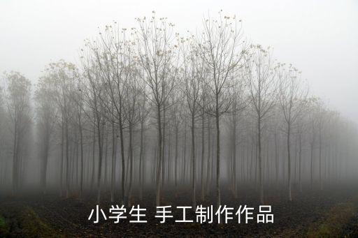 小學手工,中國民間手工藝術品展示新的世界