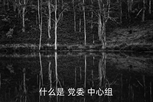什么是 黨委 中心組