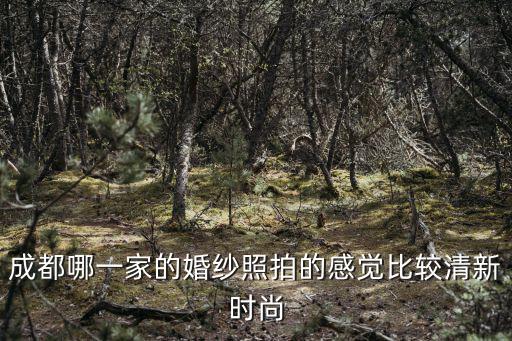 成都市時尚新風貌，四川成都是一個年輕時尚人士所向往的時尚之都嗎