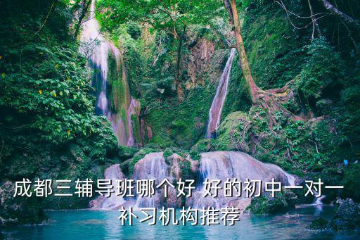 成都三輔導(dǎo)班哪個(gè)好 好的初中一對(duì)一補(bǔ)習(xí)機(jī)構(gòu)推薦