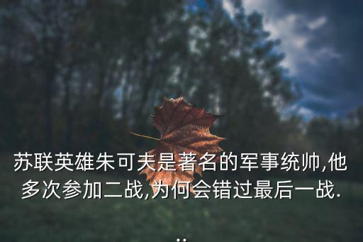 遠東戰役,為兌現承諾蘇聯東線作戰指揮權交給將軍