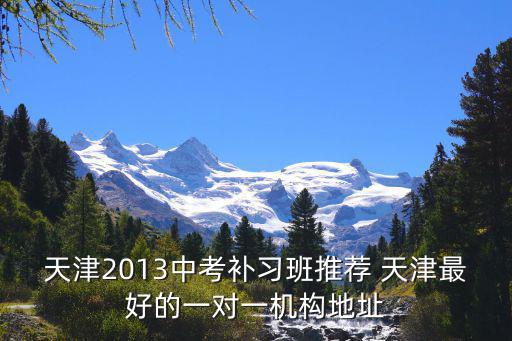 天津2013中考補習班推薦 天津最好的一對一機構地址