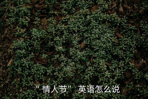 “ 情人節” 英語怎么說