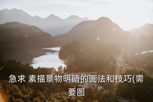急求 素描景物明暗的畫法和技巧(需要圖