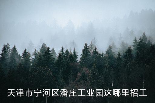 天津市寧河區潘莊工業園這哪里招工