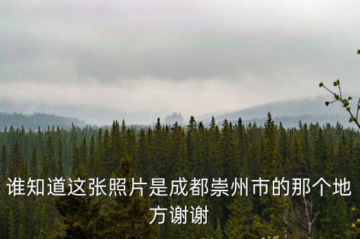 誰知道這張照片是成都崇州市的那個地方謝謝