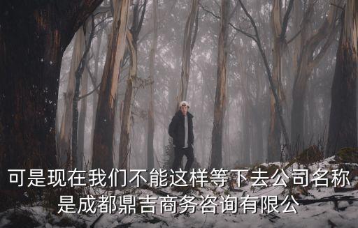 可是現(xiàn)在我們不能這樣等下去公司名稱是成都鼎吉商務(wù)咨詢有限公
