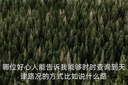 哪位好心人能告訴我能夠時時查詢到天津路況的方式比如說什么路