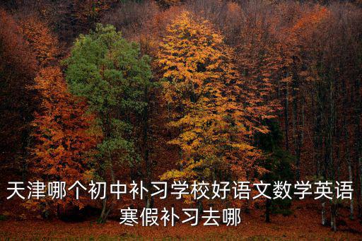 天津哪個初中補習學校好語文數學英語寒假補習去哪