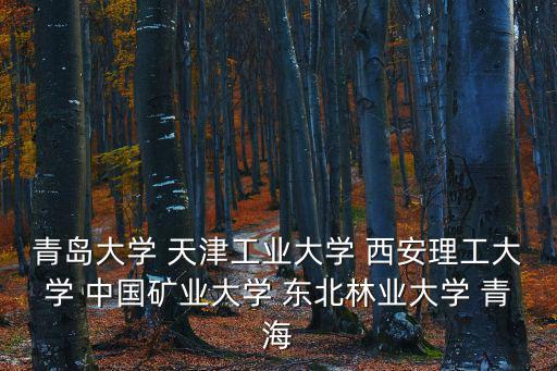青島大學 天津工業大學 西安理工大學 中國礦業大學 東北林業大學 青海