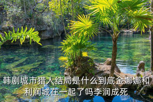 城里大叔變成都市女郎，夢之聲李鋒我的簡歷歌詞