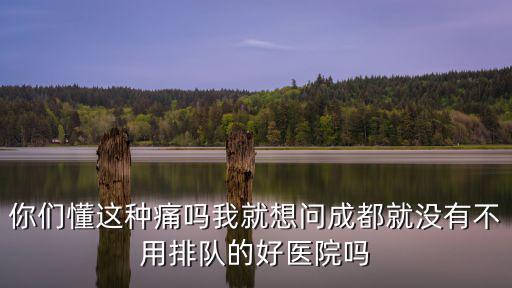 你們懂這種痛嗎我就想問成都就沒有不用排隊的好醫院嗎