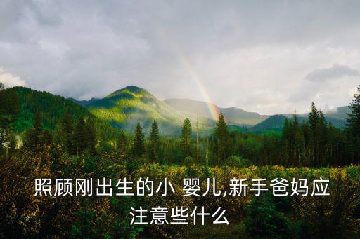  照顧剛出生的小 嬰兒,新手爸媽應注意些什么