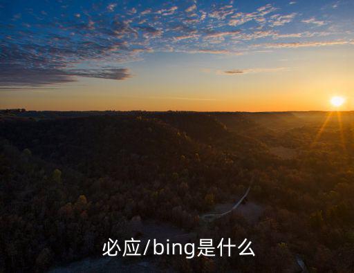 必應(yīng),必應(yīng)中國客戶群體消費能力和影響力都很高
