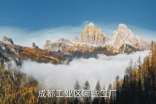成都工業區哪些工廠