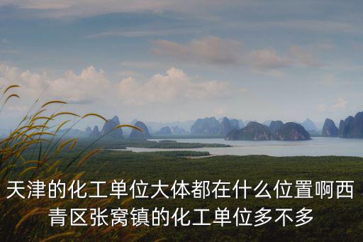 天津市濱海新區危化品重點地點，天津的化工單位大體都在什么位置啊西青區張窩鎮的化工單位多不多