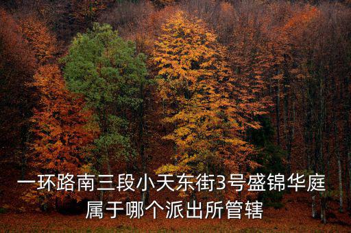 一環路南三段小天東街3號盛錦華庭 屬于哪個派出所管轄