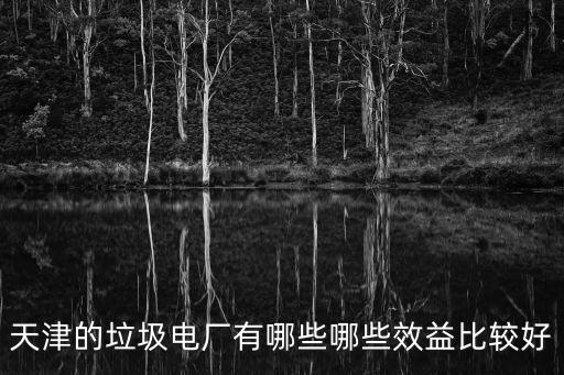 天津市津南區有垃圾發電廠嗎，天津寧河縣廉莊新建的垃圾發電廠叫什么名字啊