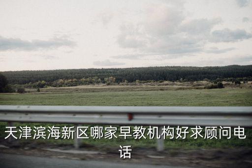 天津濱海新區哪家早教機構好求顧問電話