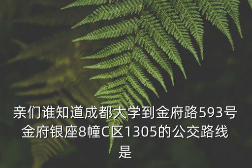 親們誰(shuí)知道成都大學(xué)到金府路593號(hào)金府銀座8幢C區(qū)1305的公交路線是