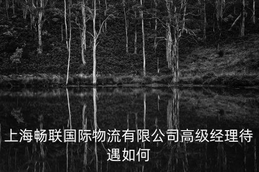 上海暢聯國際物流有限公司高級經理待遇如何
