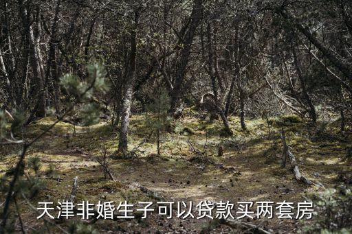 天津市對未婚生育的政策，天津非婚生子可以貸款買兩套房