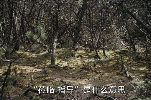 “蒞臨 指導”是什么意思