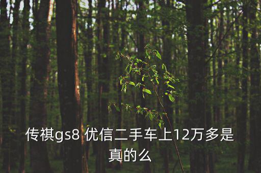 成都市廣汽傳祺二手車GS8，廣汽傳祺gs8車長多少