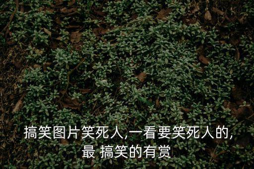 搞笑圖片大全笑死人,第二集:馬蓉的人生觀
