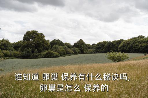 誰知道 卵巢 保養有什么秘訣嗎, 卵巢是怎么 保養的