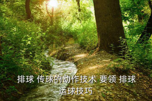  排球 傳球的動(dòng)作技術(shù) 要領(lǐng) 排球運(yùn)球技巧
