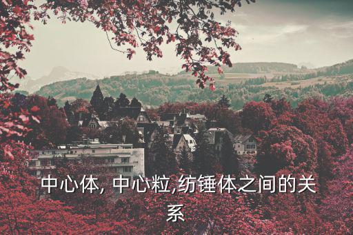  中心體, 中心粒,紡錘體之間的關系