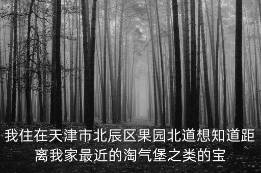 天津市區(qū)北辰區(qū)遛娃好去處，我住在天津市北辰區(qū)果園北道想知道距離我家最近的淘氣堡之類的寶