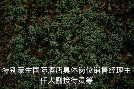 特別豪生國際酒店具體崗位銷售經理主任大副接待員等