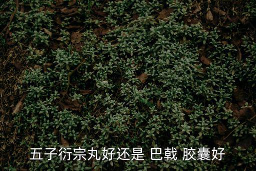 巴戟膠囊,海馬巴戟膠囊功效:補腎壯陽女性可食用