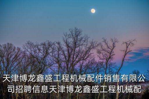 天津博龍鑫盛工程機械配件銷售有限公司招聘信息天津博龍鑫盛工程機械配