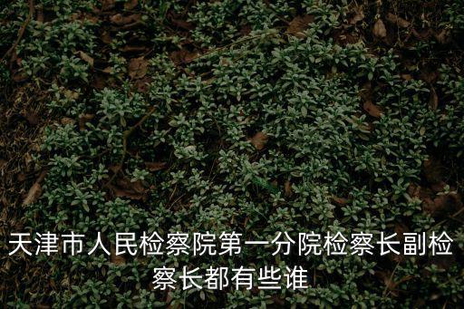 天津市人民檢察院第一分院檢察長副檢察長都有些誰