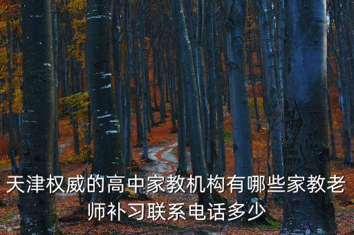 天津權威的高中家教機構有哪些家教老師補習聯系電話多少