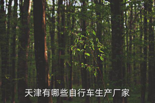 天津有哪些自行車生產(chǎn)廠家