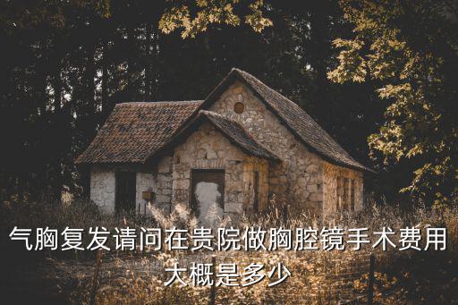 氣胸復發請問在貴院做胸腔鏡手術費用大概是多少