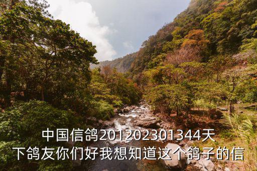 中國信鴿201202301344天下鴿友你們好我想知道這個鴿子的信