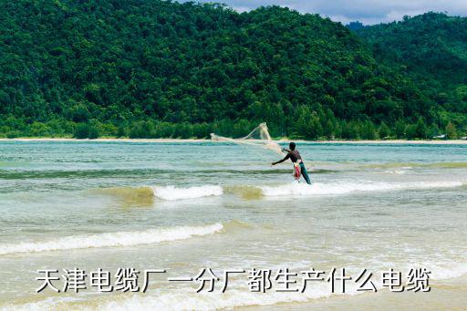 天津電纜廠一分廠都生產什么電纜