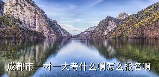 成都市一村一大考什么啊怎么報名啊