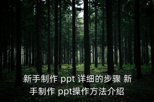 新手如何做ppt詳細(xì)步驟