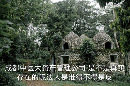 成都中醫大資產管理公司 是不是真實存在的呢法人是誰得不得是皮