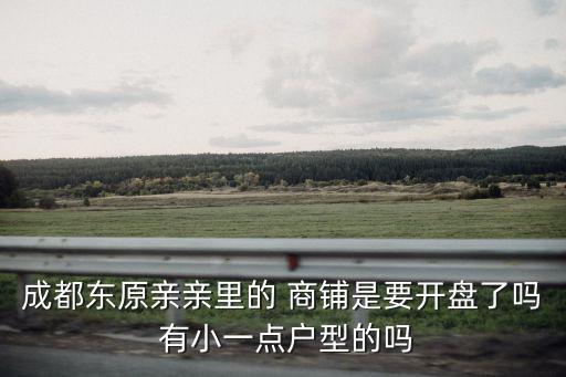 成都東原親親里的 商鋪是要開盤了嗎 有小一點戶型的嗎