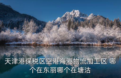 天津港保稅區空港海港物流加工區 哪個在東麗哪個在塘沽