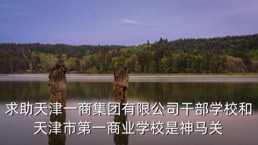 求助天津一商集團(tuán)有限公司干部學(xué)校和天津市第一商業(yè)學(xué)校是神馬關(guān)