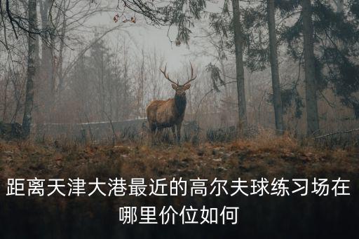 距離天津大港最近的高爾夫球練習場在哪里價位如何