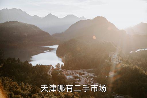 天津哪有二手市場